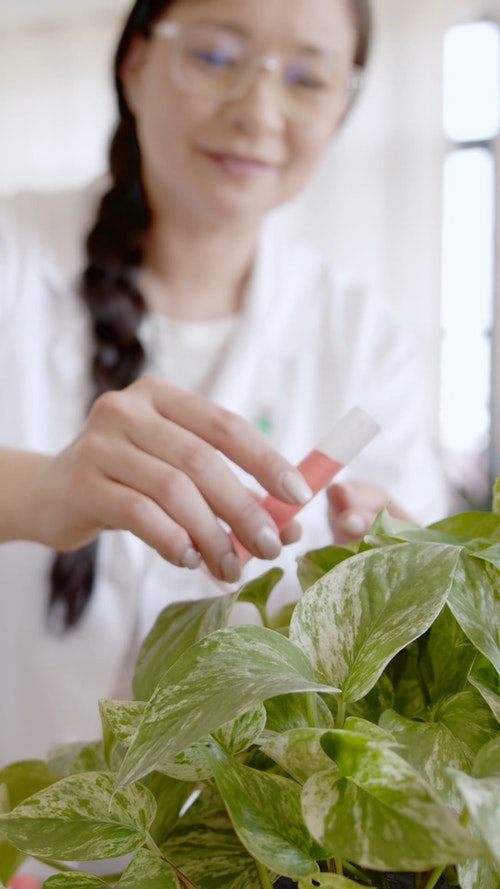 有关倾注,化学,化学家的免费素材视频