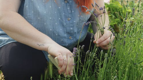 有关@户外, 低角度拍摄, 切割的免费素材视频