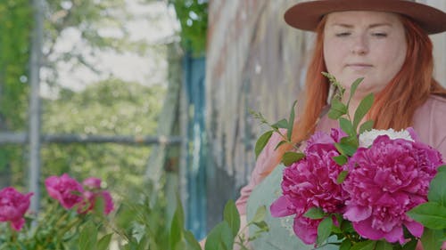 有关@户外, 企业家, 商业的免费素材视频