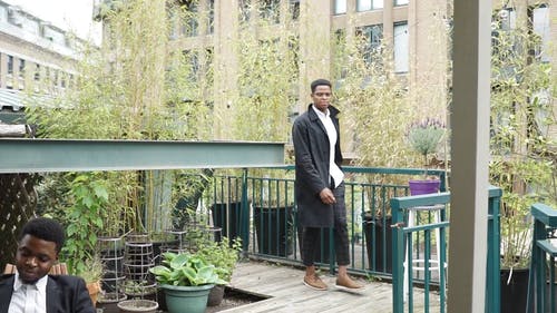 有关分支机构, 坐, 天井的免费素材视频