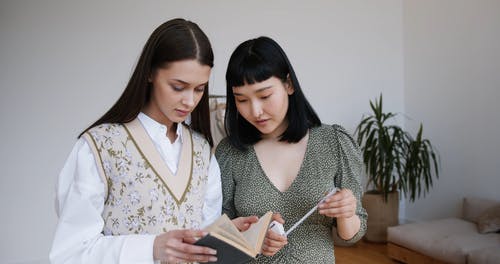 有关交换见面, 图书, 多样化的免费素材视频