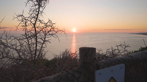 有关乾燥, 分支机构, 反射的免费素材视频