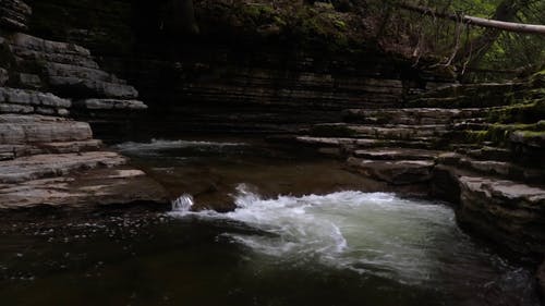 有关加拿大, 天性, 快速的免费素材视频