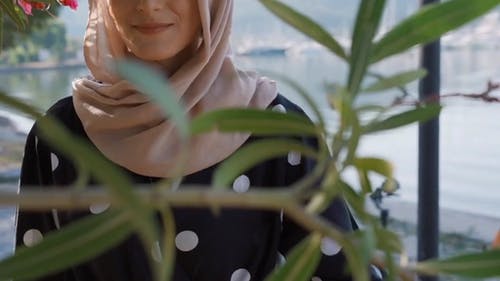 有关伊斯兰教, 休闲, 优雅的免费素材视频