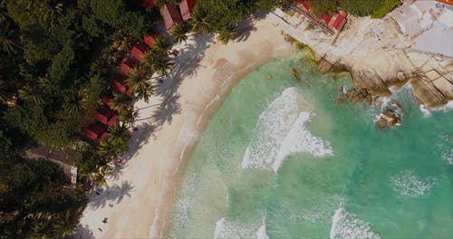 有关岛, 棕榈树, 海洋的免费素材视频