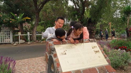 有关一起, 享受, 公园的免费素材视频