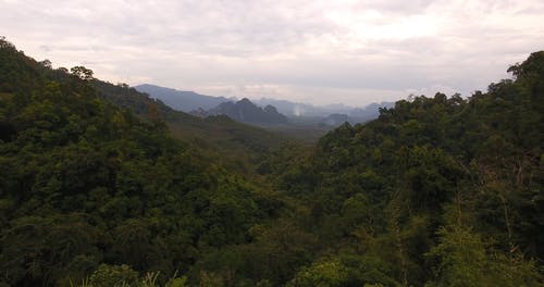 有关天性, 山, 户外的免费素材视频