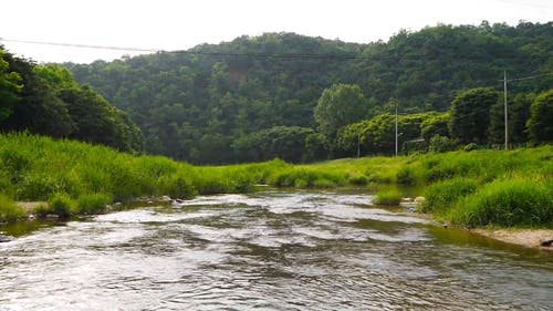 有关天性, 小河, 山的免费素材视频