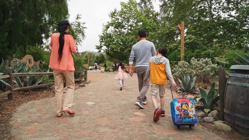 有关一对, 公园, 家人的免费素材视频