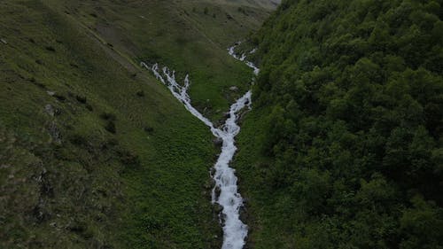 有关优美的风景, 乔治亚州, 天性的免费素材视频