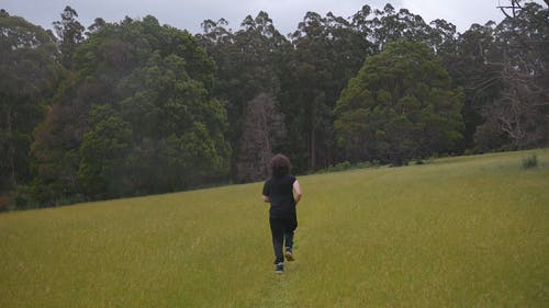 有关举起手臂, 张开双臂, 後视图的免费素材视频