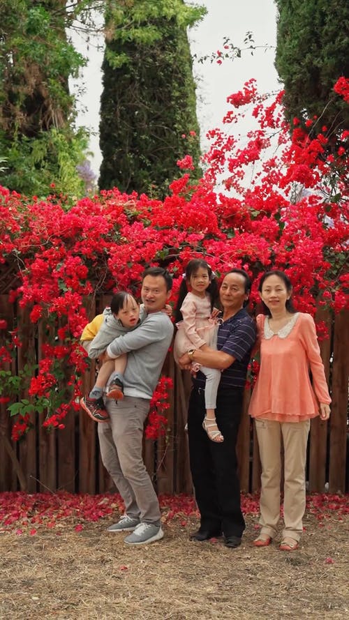 有关一起, 合影, 垂直视频的免费素材视频