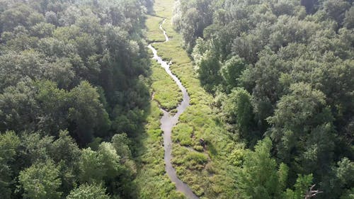 有关天性, 小河, 户外的免费素材视频