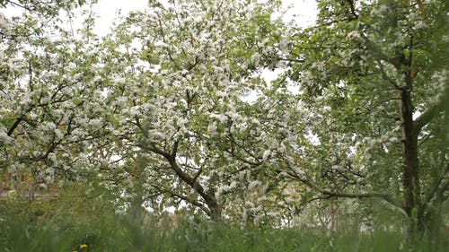 有关女人, 後视图, 户外的免费素材视频