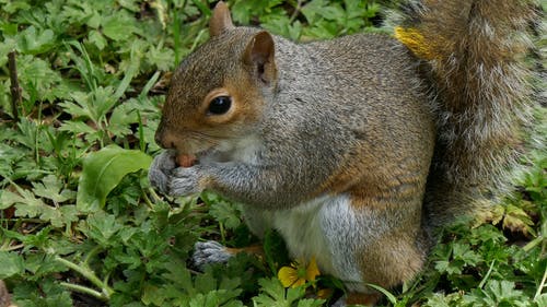 有关@户外, 东, 全景的免费素材视频