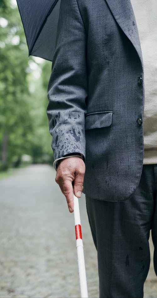 有关下雨, 公园, 垂直视频的免费素材视频