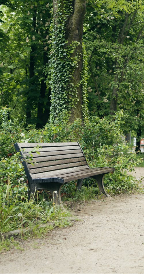 有关公园, 坐, 垂直视频的免费素材视频