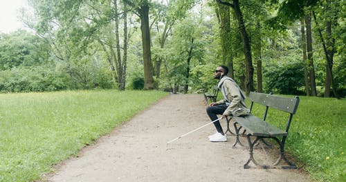 有关人, 倾听, 公园的免费素材视频