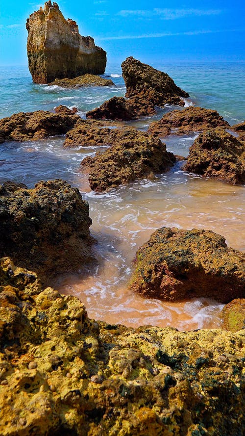 有关垂直视频, 大西洋, 天性的免费素材视频