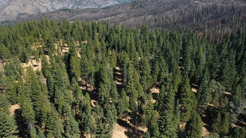 有关全景, 山坡, 户外的免费素材视频