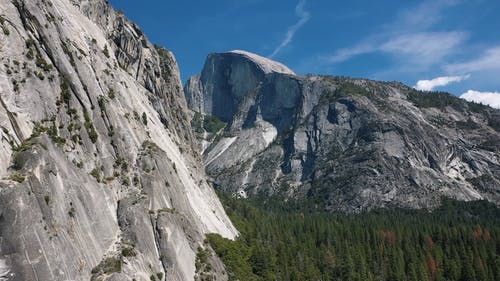 有关户外, 景观, 森林的免费素材视频