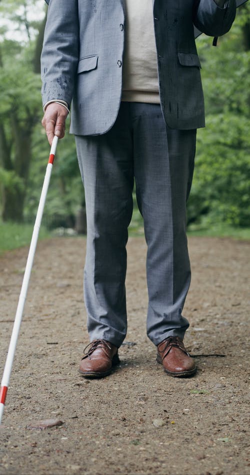 有关下雨, 公园, 垂直视频的免费素材视频