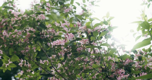 有关分支机构,工厂,厂的免费素材视频