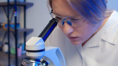 有关分析, 女人, 女性的免费素材视频