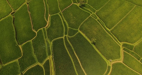 有关农场土地,稻田,空中镜头的免费素材视频