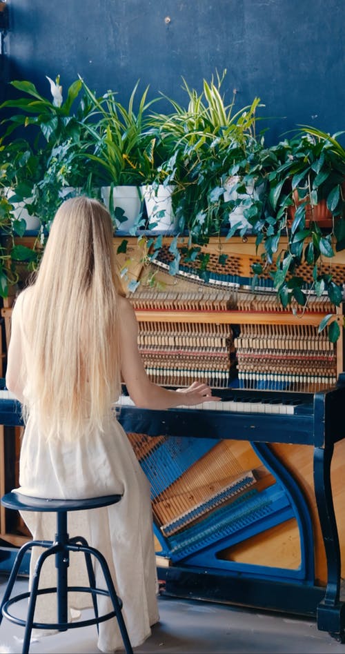 有关凳子, 后视图, 垂直视频的免费素材视频