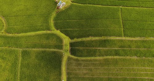 有关图案, 宽, 户外的免费素材视频