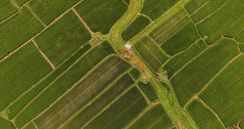 有关图案, 户外, 白天的免费素材视频