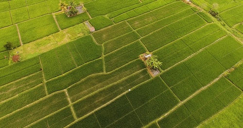 有关农场土地,稻田,空中镜头的免费素材视频