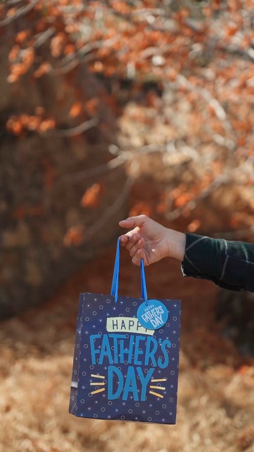 有关垂直视频, 天性, 庆祝的免费素材视频