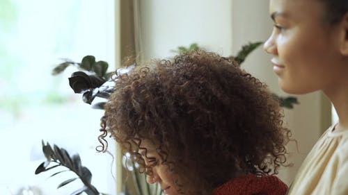 有关一对, 一起, 围巾的免费素材视频