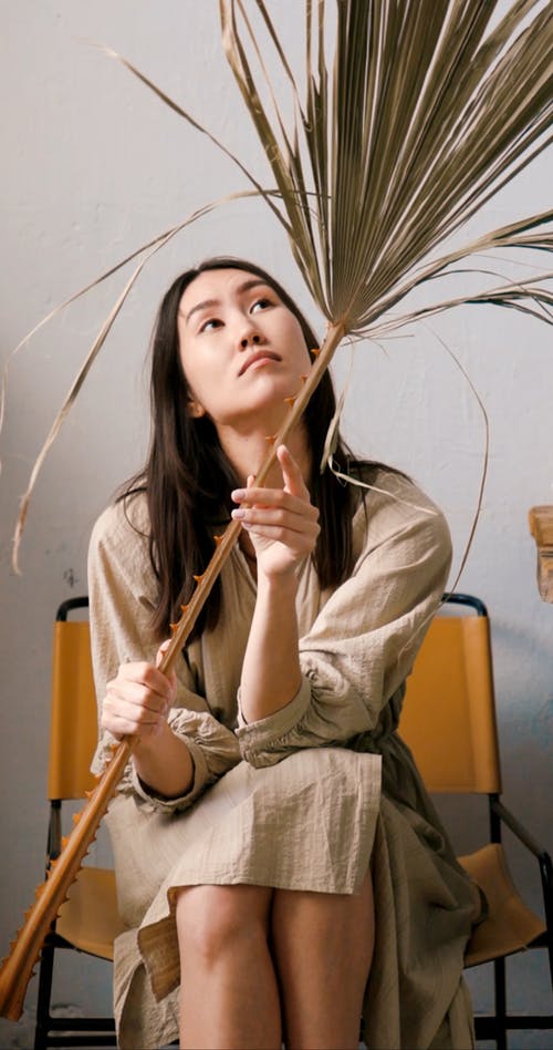 有关乾燥, 坐, 垂直视频的免费素材视频