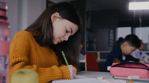 有关咖啡色头发的女人, 哀思, 多民族的免费素材视频