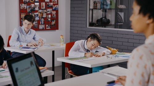有关同学, 图书, 学生们的免费素材视频