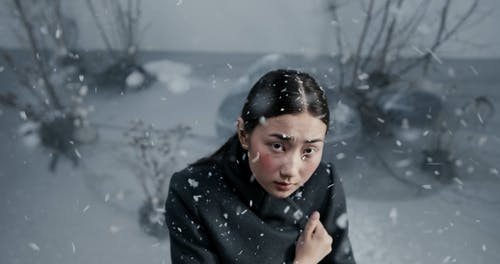 有关下雪, 下雪的, 冬季的免费素材视频