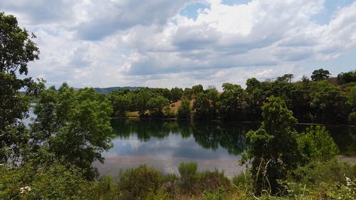 有关冷静, 反射, 和平的的免费素材视频