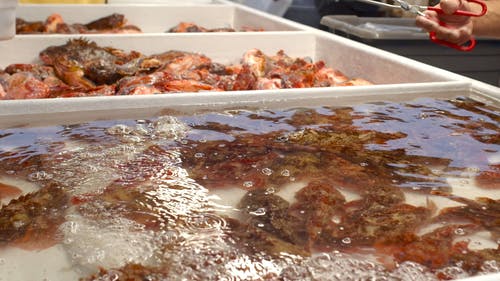 有关可口的, 手, 握住的免费素材视频