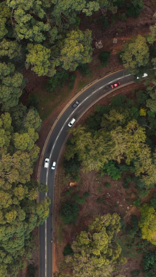 有关垂直视频, 巷道, 弧线的免费素材视频