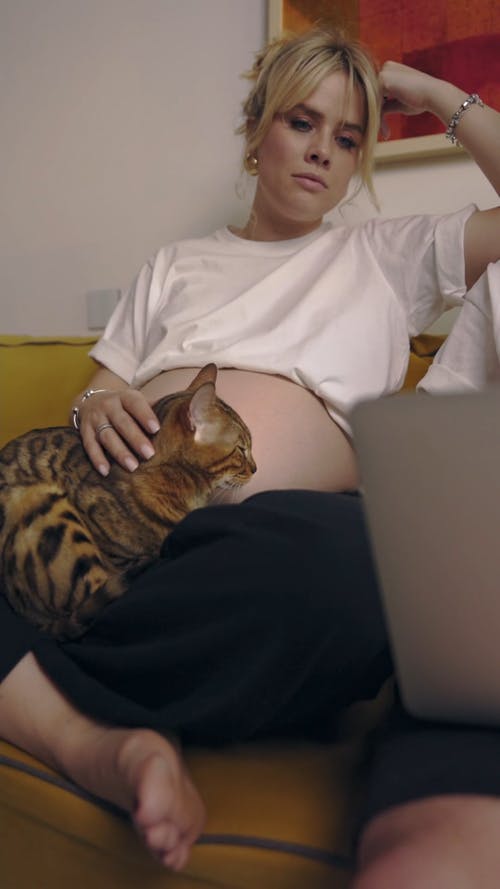 有关坐, 垂直视频, 女人的免费素材视频