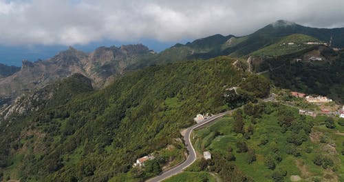 有关优美的风景, 景观, 森林的免费素材视频