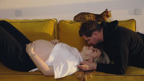 有关一对, 一起, 人的免费素材视频