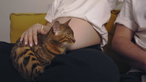 有关一对, 一起, 人的免费素材视频