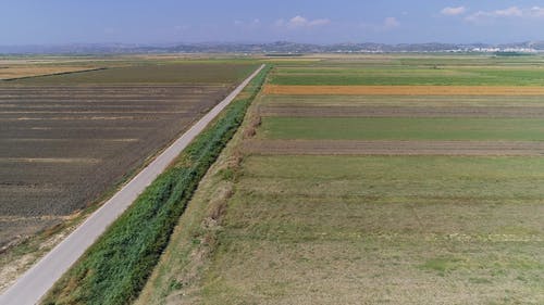 有关图案, 多风, 户外的免费素材视频