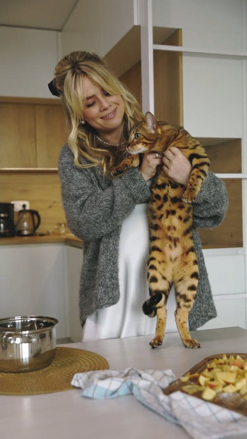 有关一起, 垂直视频, 女人的免费素材视频