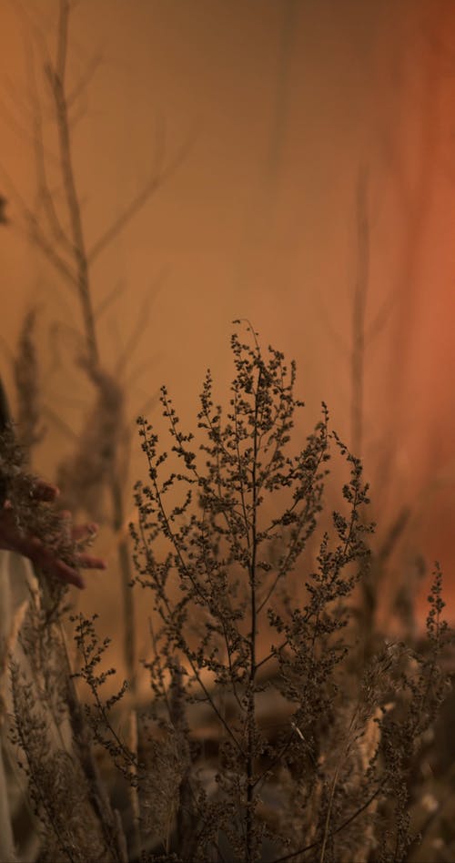 有关垂直视频, 手, 接触的免费素材视频