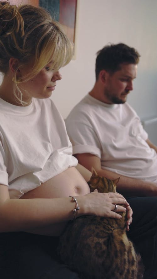 有关一对, 一起, 人的免费素材视频